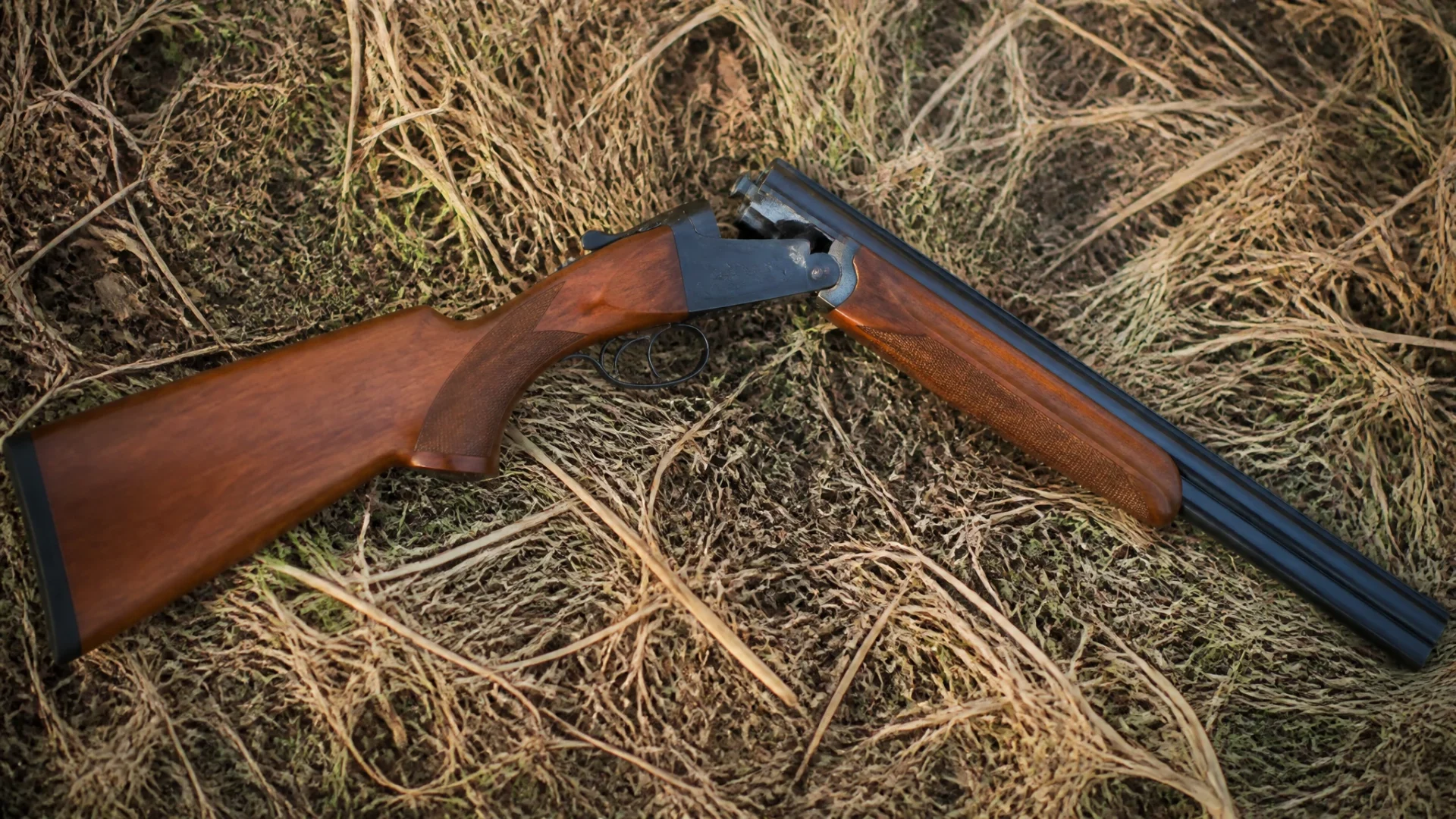 Quelle catégorie de fusil de chasse peut-on avoir sans permis de chasse ?