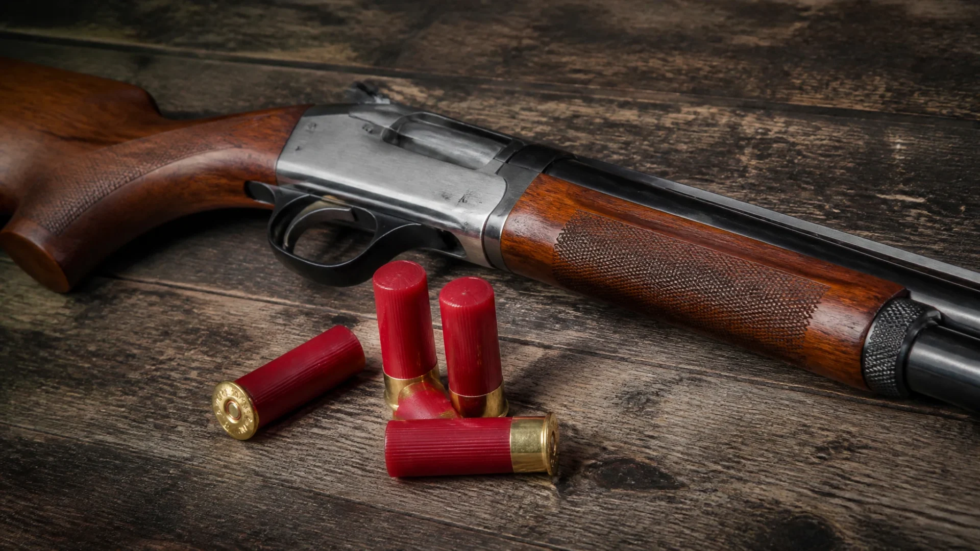 Fusil de chasse calibre 12 : catégorie C, règles et exceptions