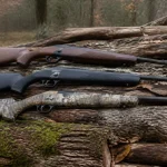 Quelle carabine sans permis de chasse choisir pour débuter ?