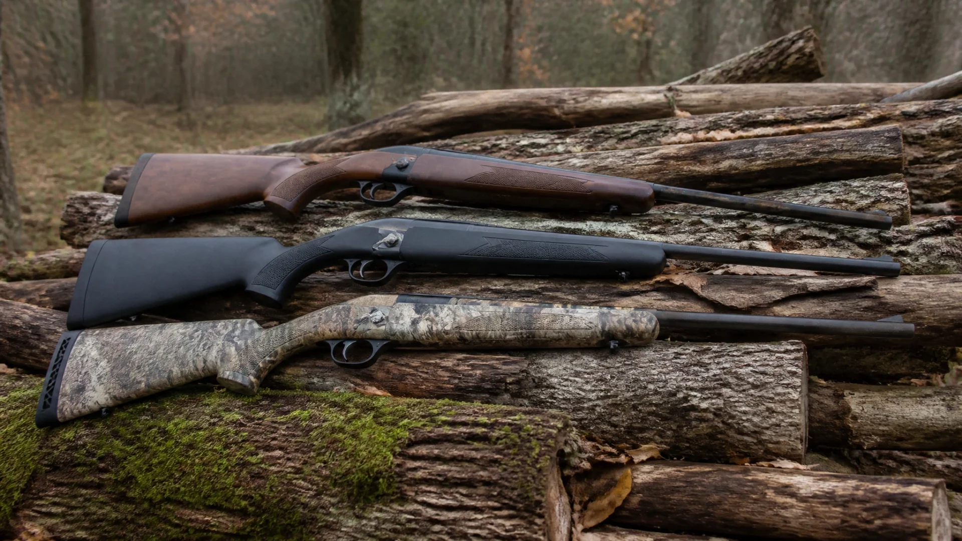 Quelle carabine sans permis de chasse choisir pour débuter ?