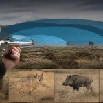 Portée d’une carabine 44 Magnum : distances utiles au tir et à la chasse
